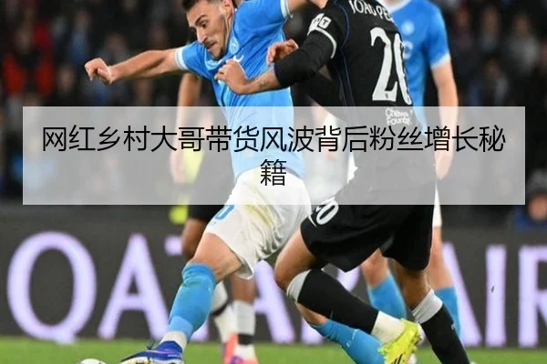网红乡村大哥带货风波背后粉丝增长秘籍